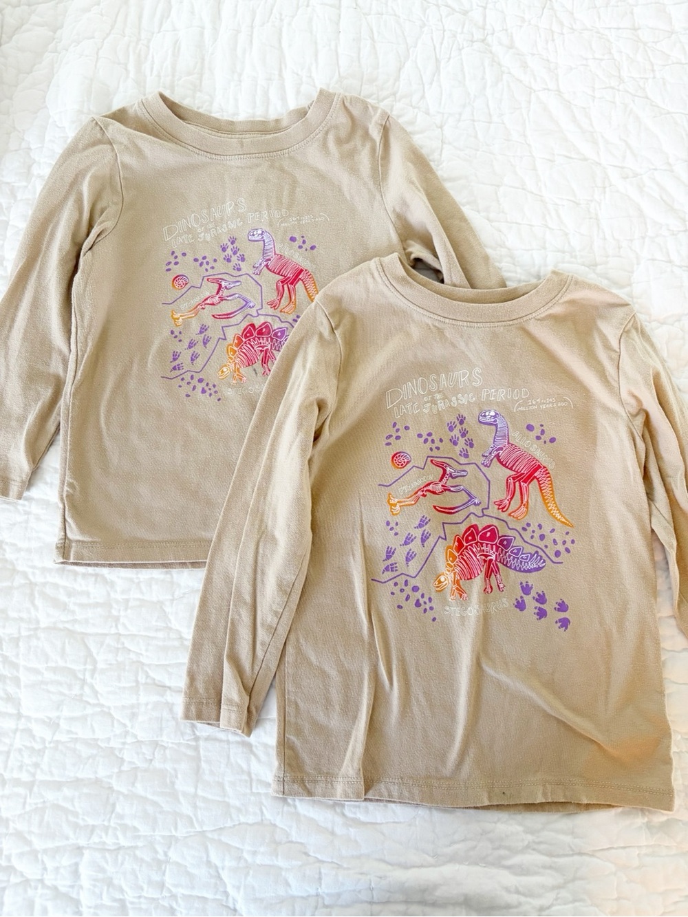 3T and 4T brothers matching long sleeve cat & jack Dino tees